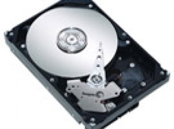 Seagate ST380811AS