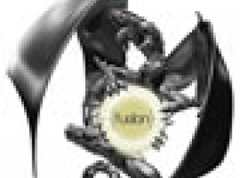 AMD Releases the Dragon Desktop Platform Technology at CES 2009