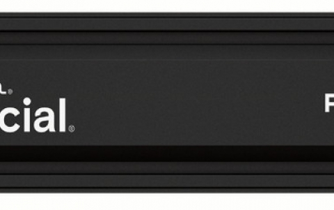 Crucial P510 2TB NMVE