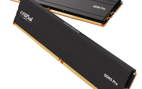 Crucial Pro DDR5-5600 32GB Memory Kit