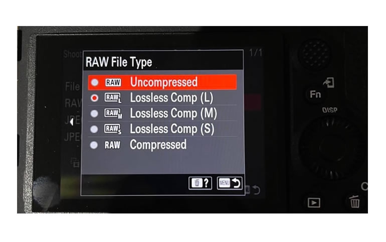 New Alpha 1 Firmware Update Enables 8K 4:2:2 10bit Recording and Lossless RAW File Options