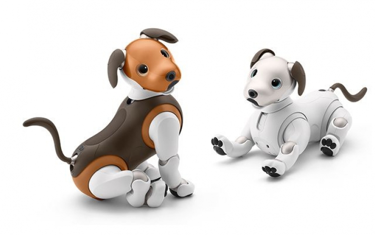 Sony to Launch the "aibo Patrol" Service in Japan